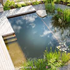 Schwimmteich Naturpool Und Biopool Salamander Naturgarten Ag In 2020 Schwimmteich Naturschwimmbader Naturschwimmbecken