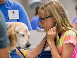 Veterinary care for reptiles, birds, and small mammals (such as rabbits, ferrets, chinchillas, hedgehogs, guinea pigs, mice, hamsters, and rats) is often overlooked because owners are unaware of the medical care these small animals need. Veterinary Volunteer Opportunities Near Me Animal Volunteer Programs Vet Set Go