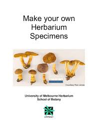 Kostenlos tannenbaum vorlagen zum ausdrucken & ausschneiden ✂ mit diesen vorlagen können sie ihre eigene weihnachtsdeko basteln. Pdf Make Your Own Herbarium Specimens Table Of Contents Ardy Mond Academia Edu