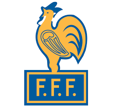 Es ist allgemein bekannt, dass ich mich für fußball interessiere und auch selbst spiele. 100 Jahre Alt Vollstandige Frankreich Fff Logo Geschichte Nur Fussball