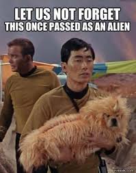 Lol Use Your Imagination Star Trek Funny Aliens Funny Funny Pictures