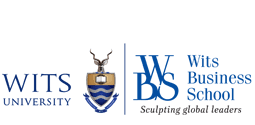 Faculty Members Wits Business School