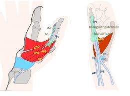 Maybe you would like to learn more about one of these? Epos Trade