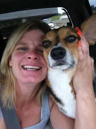 Spotted at the NFR! 🐴 Back number 43, Tyler Waguespack, 5x World Champion,  and 8x NFR Qualifier in Steer Wrestling, aboard DIPPIN DOTS in the Grand  Entry. Also, keep an eye out