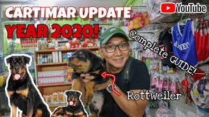 Maybe you would like to learn more about one of these? Best Pet Shop In The Philippines Cartimar Pet Center Cartimar Update 2020 Dog Lover Youtube