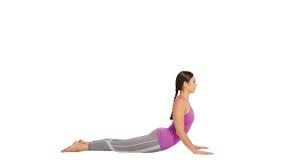 Poses By Level Yoga Journal
