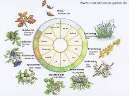 Der findet in unseren breiten und auf der nordhalbkugel der erde in (fast) jedem jahr am gleichen tag statt, dieses jahr am 20. Wann Beginnt Der Fruhling Natur Mensch