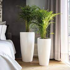 bac a fleurs en resine yucca pot xxl a prix adorable yucca bac a fleurs deco plantes interieur