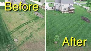 Too much milorganite means too much nitrogen in the soil which causes grass to turn yellow. Know How Long Does Milorganite Take To Work On A Lawn Over Here