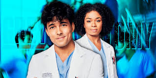 Grey'S Anatomy Recap: 