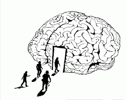 Brain coloring page brain drawing coloring pages anatomy. Human Brain Coloring Page Human Brain Coloring Sheet Brain Coloring Home