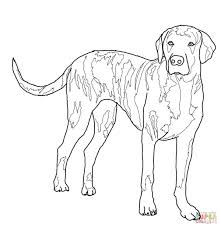 You might also be interested in coloring pages from hunting category and forest tag. Hunting Hound Dog Drawing Easy Novocom Top
