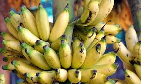 Resep pisang goreng merupakan kudapan yang cukup sering dijumpai sebagai camilan favorit keluarga pisang goreng yang memiliki rasa manis. Lendah Dua Puluh Jenis Pisang Konsumsi Dan Bernilai Ekonomi