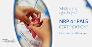 Nrp Or Pals: Which One Is Right To Use?