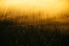 LET THERE BE LIGHT �