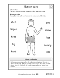 The worksheets and activities in this unit feature a lot of body parts vocabulary such as runny nose, black eye, sore throat, and broken leg. Body Parts 1st Grade 2nd Grade Kindergarten Science Worksheet Greatschools