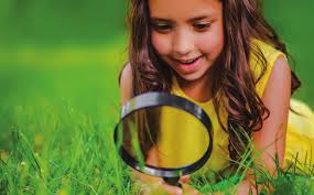 Forest Lake celebrates 50 years of Washington County Library