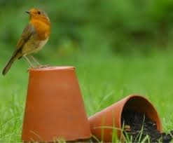 Rocky Robin Outdoor Decor Robin Decor