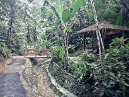 Apart from hiking, visitors like to have picnics there too! Hutan Pendidikan Bukit Gasing Mapio Net
