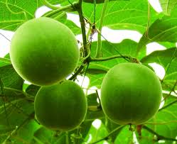 The fda approved monk fruit as a sweetener in 2010, and it is known to be safe to consume. Imperial Sugar Could Extend Activities In Europe