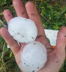 More images for grandinata in francia » Meteo Cronaca Diretta Video Francia Drammatica Grandinata Ilmeteo It