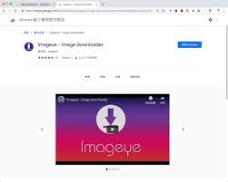 imageye 免費圖片下載器 批次下載網頁所有圖檔 chrome 擴充功能 retail logos lululemon logo logos