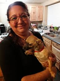 Home from work to find this thank god the dog did before the kids