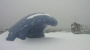 Disturbed, changeable weather is common throughout the year. Meteorologists Monitoring Winter Storm Expected To Bring Snow To Halifax Thursday Halifaxtoday Ca
