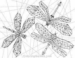 She sometimes jumps as she. Dragonfly Coloring Page Coloringnori Coloring Pages For Kids