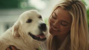 Collective Media pulls together a winning team for Purina Campaign Reel  Chicago News