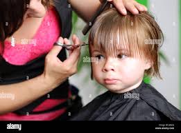 Barber horse hi-res stock photography and images