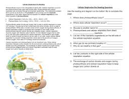 The formula for aerobic respiration in animals can be shown by the equation below. Cellular Respiration Prereading