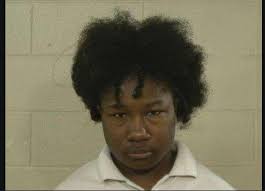 Police and EMS Response near Jane Addams School