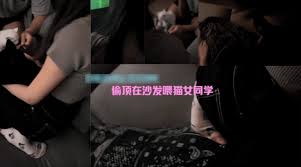 膽大包天！大色狼大神在各種場合，露出雞巴頂到妹子臀部-偷頂在沙發喂貓的女同學