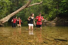 Mutiara taman negara resort menyediakan penginapan bagi pelawat yang ingin menginap di dalam kawasan taman negara. 3d2n Full Board Ex Kl Taman Negara
