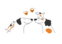 Get company information the world largest company directory. Welcome To Worldpetnet Global Registry Of Microchipped Animals Worldpetnet Global Microchipped Pet Database Check Animal Search Engine