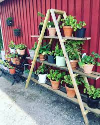 Pelargon Trappa Diy Garden Bar Portable Garden Garden Wall Designs