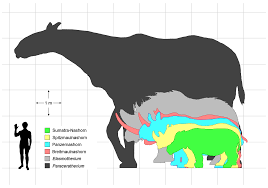 This list of extinct animals in europe features the animals that have become extinct on the european continent and some in other dependent territories of european countries. 9 Extinct Megafauna That Are Out Of This World