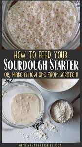 How To Feed Your Sourdough Starter Storage Care Tips Homestead And Chill Homemade Sourdough Bread Sourdough Starter Recipe Starters Recipes