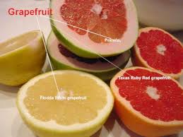 We did not find results for: Chef De Cuisine Recipe Grapefruit Main Page Pomelo Pink Grapefruit