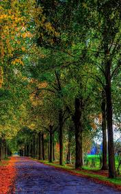 Hd wallpapers & desktop backgrounds. Hd Mobile Phone Wallpapers For Background 1200 1920 Background Hd Wallpaper 182