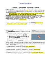  first, the digestive system breaks food down into useful nutrients, a process called. Westin Cinnamond Digestive System 2019 Www Explorelearning Com Student Exploration Digestive System Read All Directions Note Only Answer The Course Hero