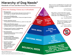 Hierarchy Of Dog Needs