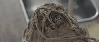 الرئيسية افلام اجنبي مشاهدة فيلم mummy resurgance 2021 مترجم. Rise Of The Mummy 2021 Reviews And Overview Movies And Mania