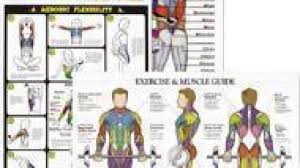 Wall Charts Display Muscles Corresponding Resistance