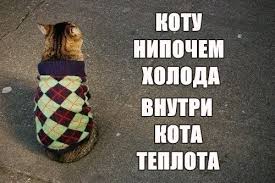images?q=tbn:ANd9GcRfMLapm6OP0fKGulFizcIz2NVU23W1vz1r8Q&usqp=CAU