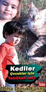 Kediler Cocuklar Icin Tehlikeli Mi Kedi Videolar Rahat