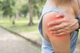 Image result for Fall on Shoulder