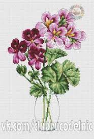 Gallery Ru Foto 1 Flores Denise10 Kanavice Cicek Elde Nakis