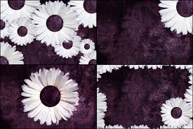 Now that you've chosen a category of tumblr backgrounds that you're interested in, it's as simple as browsing for the pastel tumblr background. 4 Free Purple Daisy Tumblr Backgrounds By Ibjennyjenny On Deviantart